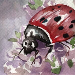 Ladybug - Jai Granofsky