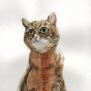 puddy - Jai Granofsky